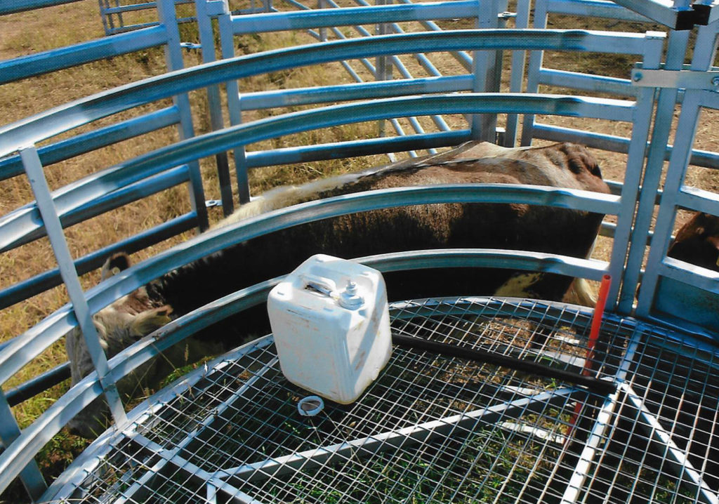 Ron Booth Circular Cattle Processor