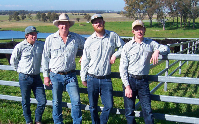 National Stockyard Systems New Owners